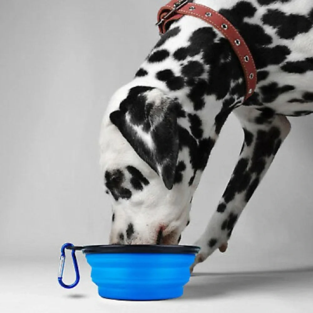 3/$15 NEW Pet Collapsible Bowl 12oz Blue, 1 Bowl